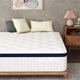 ALPULON 10in Hybrid Mattress, Queen